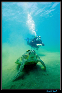 Buddy JC on his first tropical water dives in Marsa Abu D... by Daniel Strub 